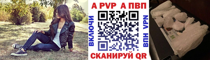 A PVP СК КРИС  Кадников 