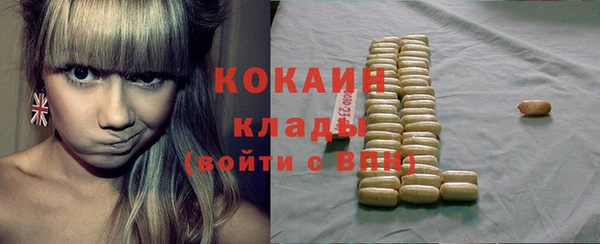 прущие крисы Ельня