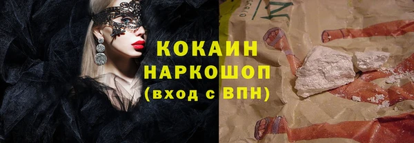молекула духа Елизово