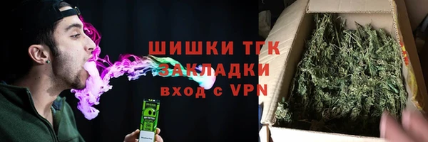 прущие крисы Ельня