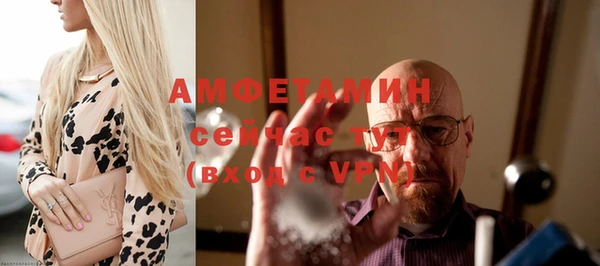 прущие крисы Ельня