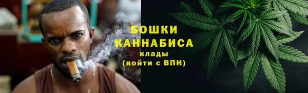 дживик Белая Холуница
