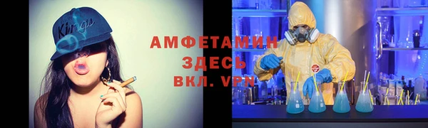 молекула духа Елизово