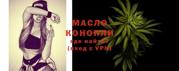 прущие крисы Ельня