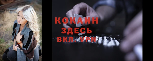 молекула духа Елизово