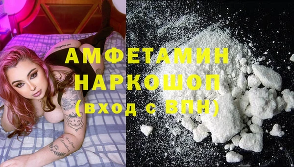 молекула духа Елизово
