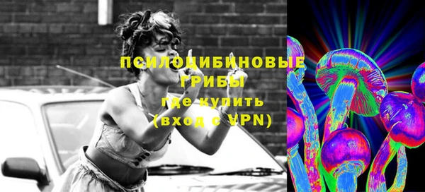 прущие крисы Ельня