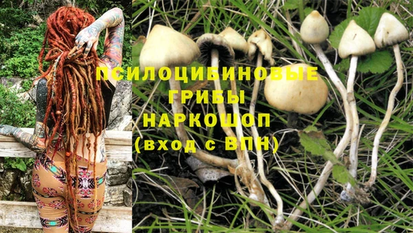 прущие крисы Ельня